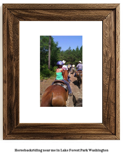 horseback riding near me in Lake Forest Park, Washington